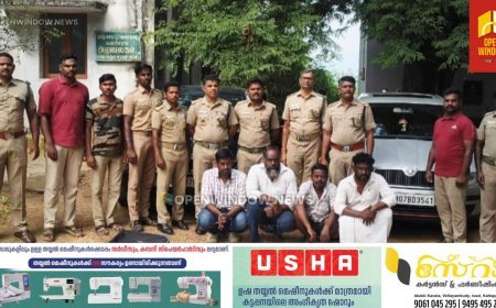 തമിഴ്നാട്ടിലെ കമ്പത്ത് നിന്ന് രണ്ട് ജോഡി ആനക്കൊമ്പുകൾ പിടികൂടി;ആനക്കൊമ്പുകൾ കൊണ്ടുവന്നത് കേരളത്തിലേക്ക്
