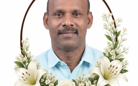 കട്ടപ്പന അമ്പലക്കവല നെടുമങ്ങാട്ട് എന്‍ വിദ്യാധരന്‍(62)(ജന്മഭൂമി മുന്‍ കട്ടപ്പന ലേഖകന്‍) അന്തരിച്ചു.