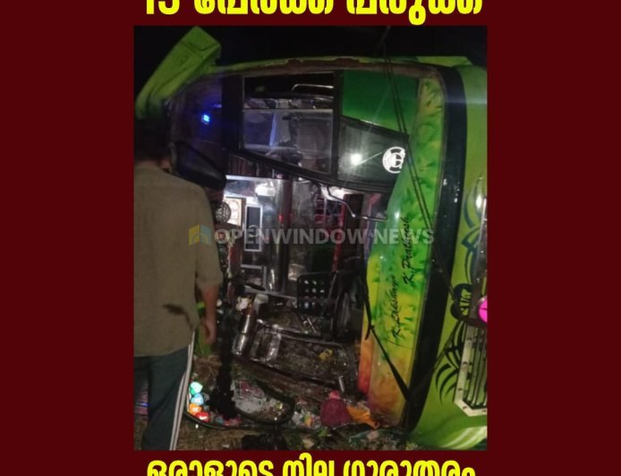 ഇടുക്കി കൂട്ടാറിന് സമീപം മിനി ബസ് മറിഞ്ഞ് 13 പേർക്ക് പരുക്ക്; ഒരാളുടെ നില ഗുരുതരം.