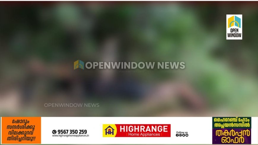 കഴിഞ്ഞ  ദിവസം ഇടുക്കി  പാംപ്ലയില്‍  കത്തിക്കരിഞ്ഞ നിലയില്‍  കണ്ടെത്തിയ മൃതദേഹം തമിഴ്‌നാട് ബോഡിനായ്ക്കന്നൂര്‍ സ്വദേശിയുടേത്;  കൊല്ലപ്പെട്ടത്  ബോഡിനായ്ക്കന്നൂര്‍ സ്വദേശി നിത്യ
