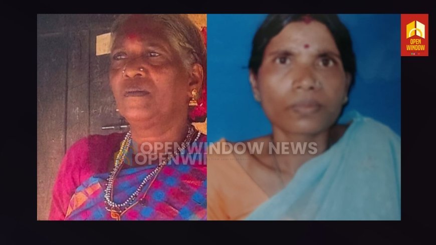 ഇടുക്കി മാങ്കുളത്ത് ഏലത്തോട്ടത്തില്‍ മരം വീണ് രണ്ട് ആദിവാസി സ്ത്രീകള്‍ മരിച്ചു